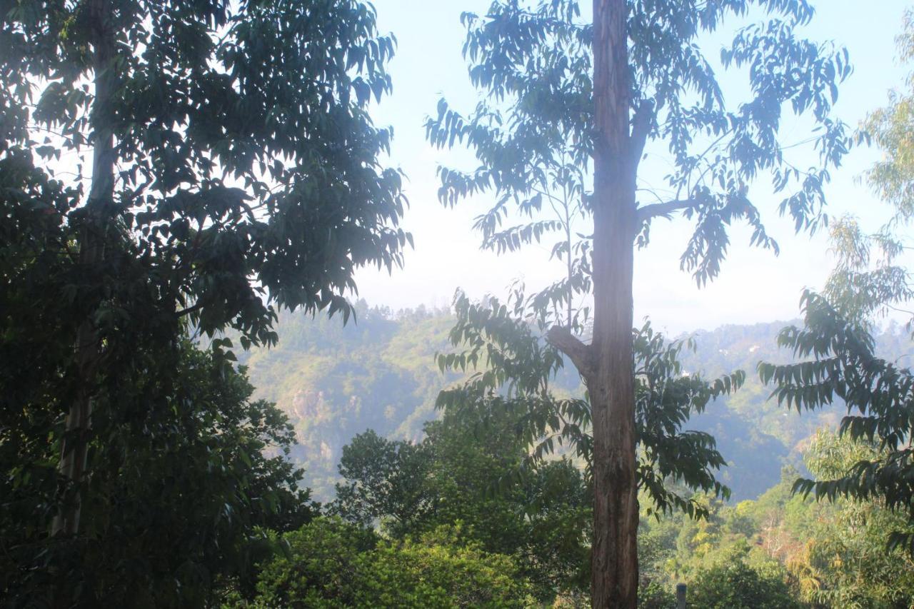 Lazy Bear Lodge เอลลา ภายนอก รูปภาพ