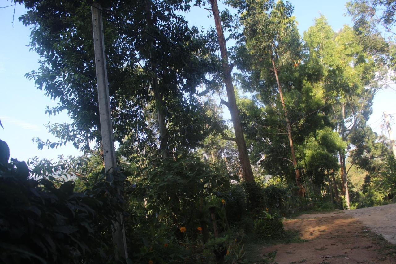 Lazy Bear Lodge เอลลา ภายนอก รูปภาพ