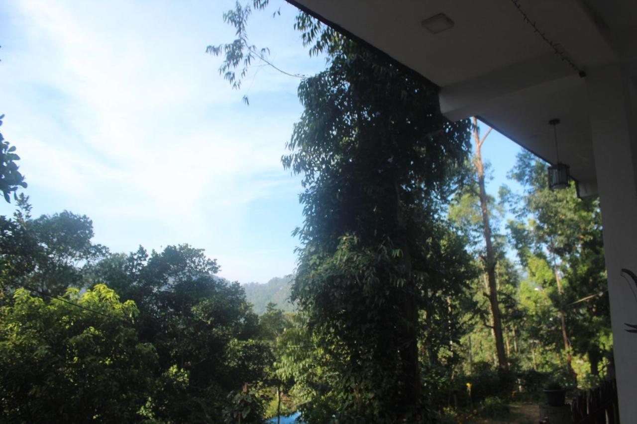 Lazy Bear Lodge เอลลา ภายนอก รูปภาพ