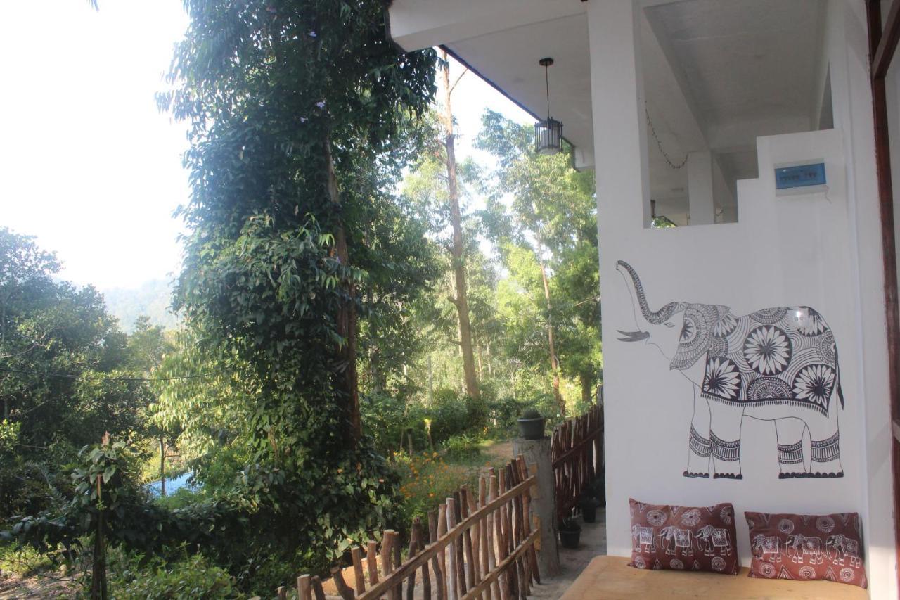 Lazy Bear Lodge เอลลา ภายนอก รูปภาพ