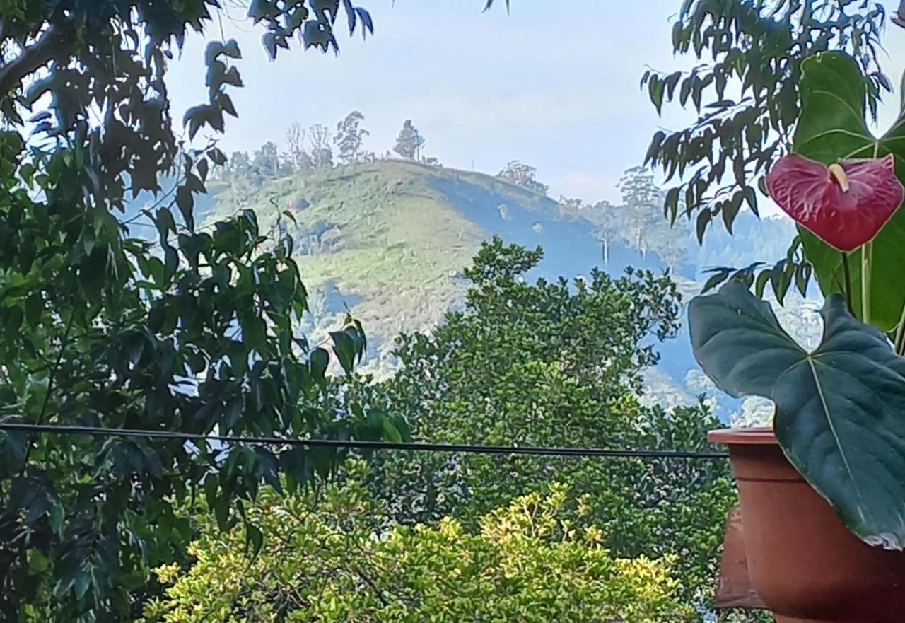 Lazy Bear Lodge เอลลา ภายนอก รูปภาพ