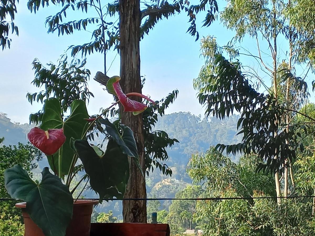 Lazy Bear Lodge เอลลา ภายนอก รูปภาพ