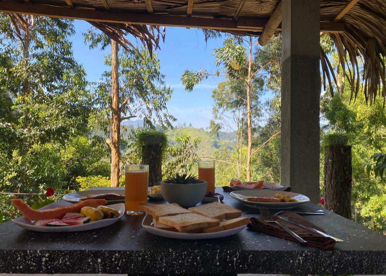 Lazy Bear Lodge เอลลา ภายนอก รูปภาพ