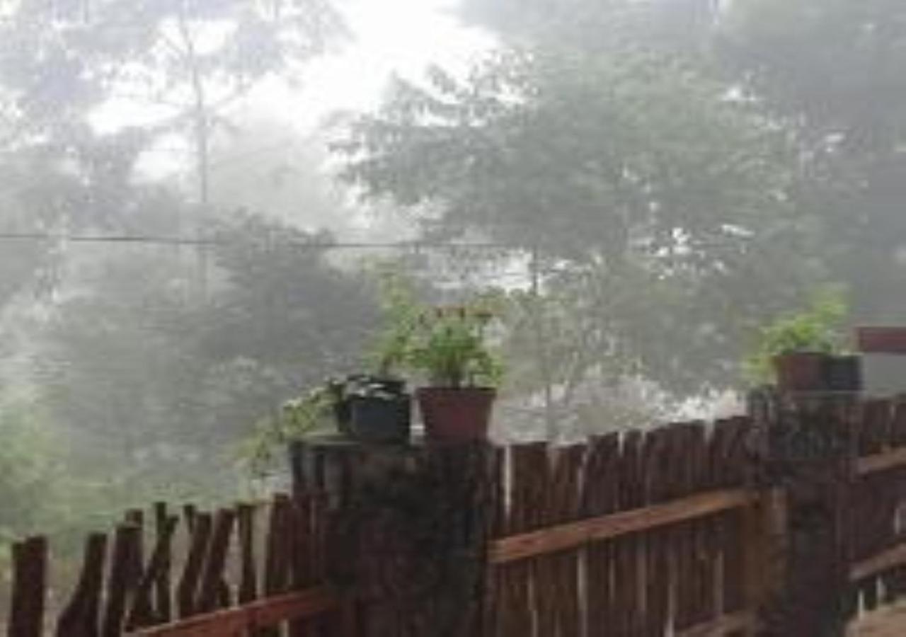 Lazy Bear Lodge เอลลา ภายนอก รูปภาพ
