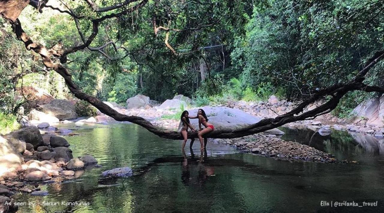 Lazy Bear Lodge เอลลา ภายนอก รูปภาพ