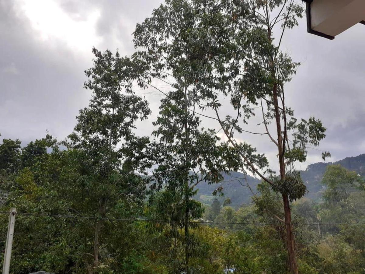 Lazy Bear Lodge เอลลา ภายนอก รูปภาพ