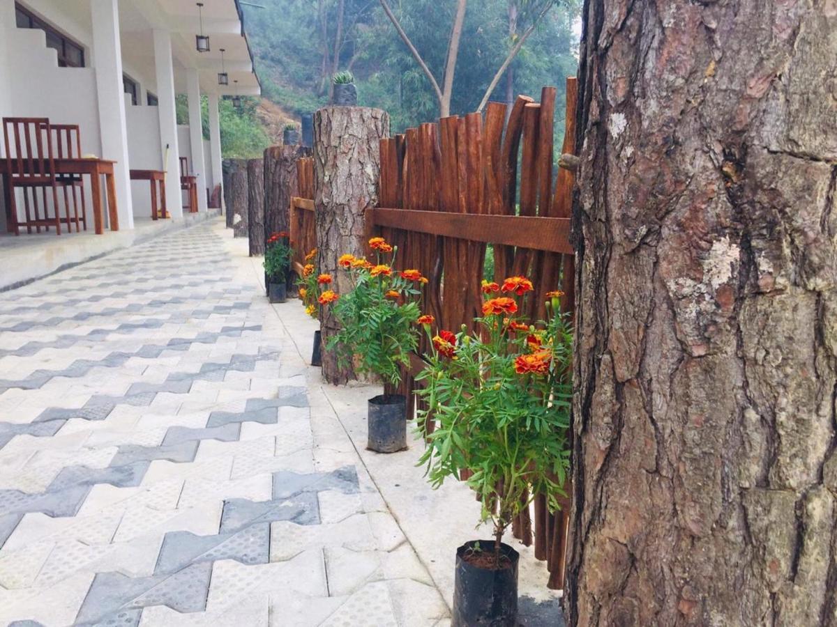 Lazy Bear Lodge เอลลา ภายนอก รูปภาพ